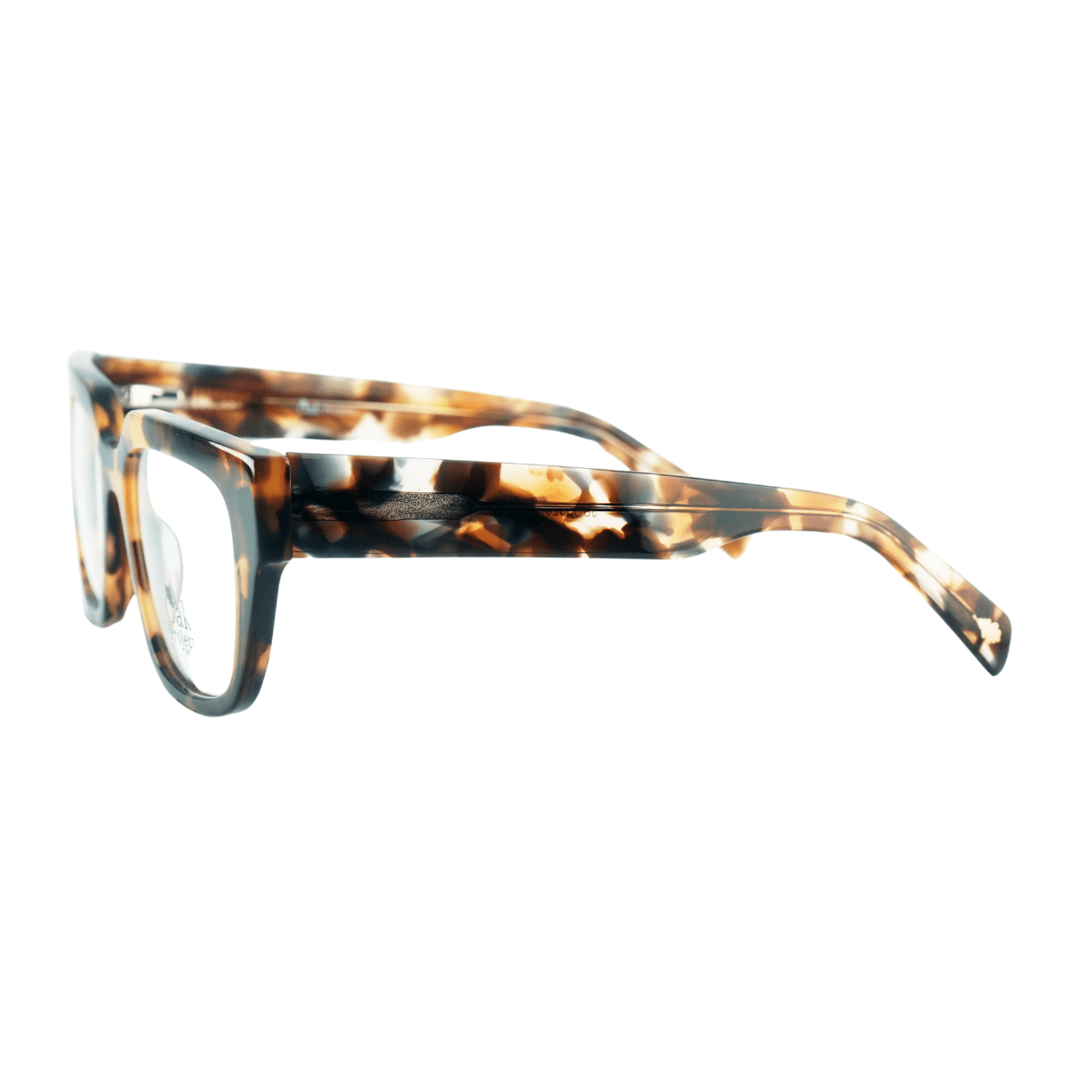 Wavy Tortoise - Image 3