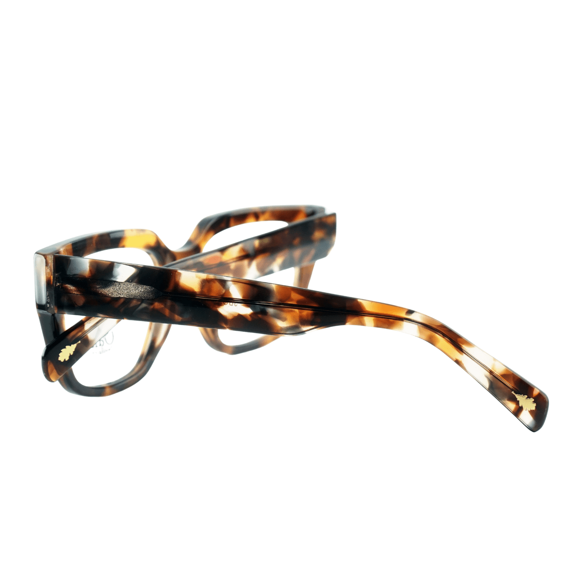 Wavy Tortoise - Image 4