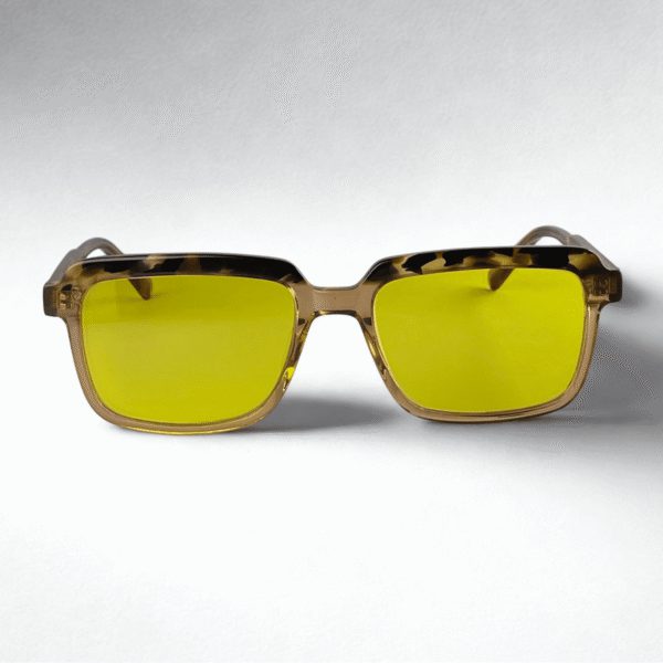 Forest Sunglasses - Image 3