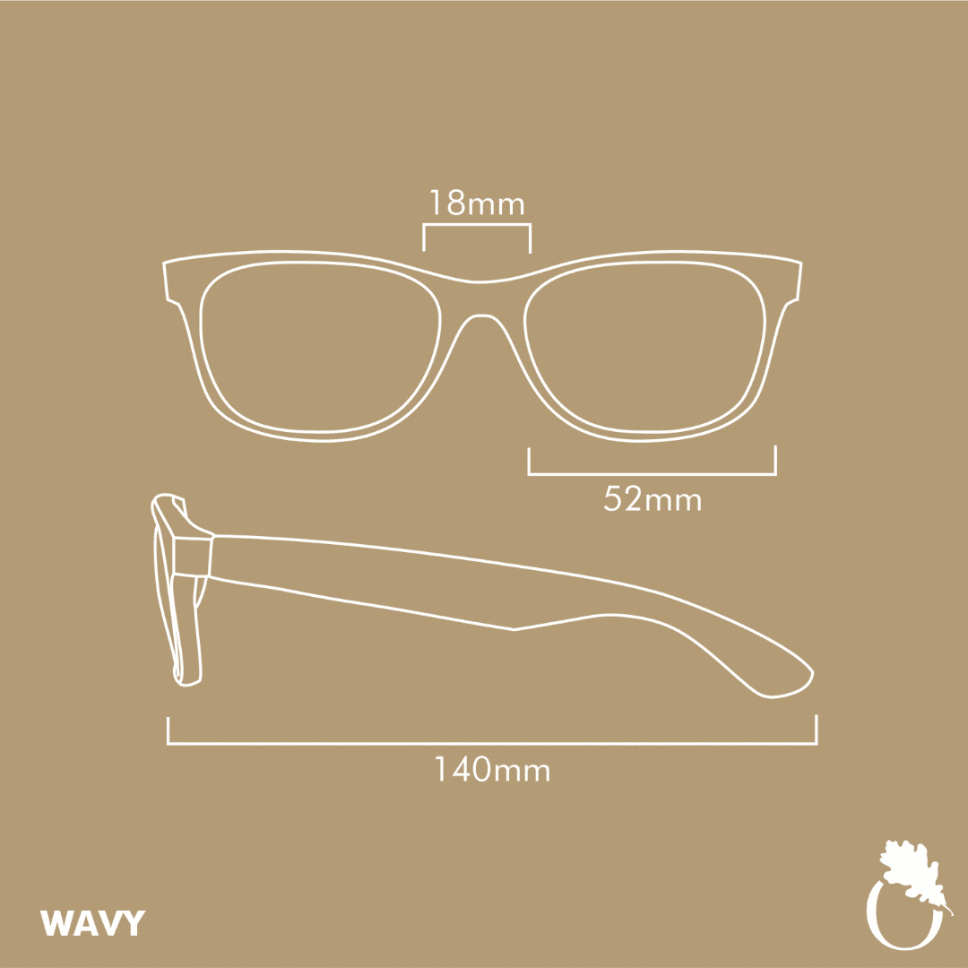 Wavy Tortoise - Image 6