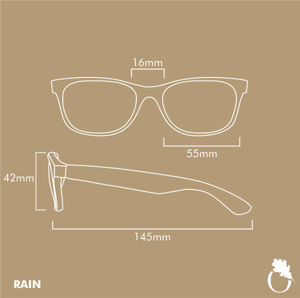 Rain Tortoise - Image 10