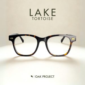 Lake Tortoise