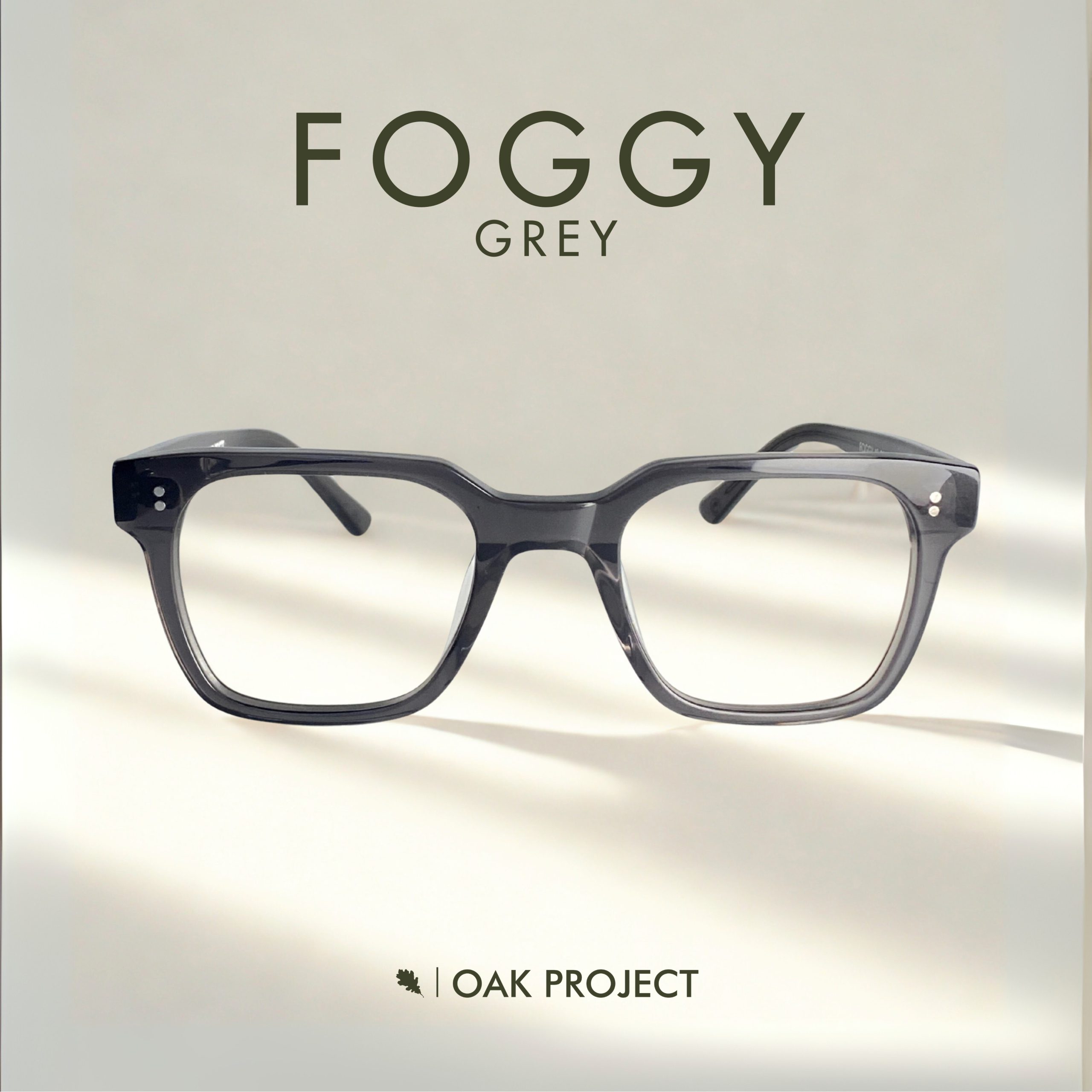 Foggy Tortoise (Copy)