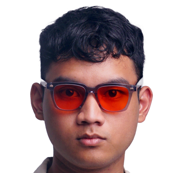 Root Sunglasses - Image 5