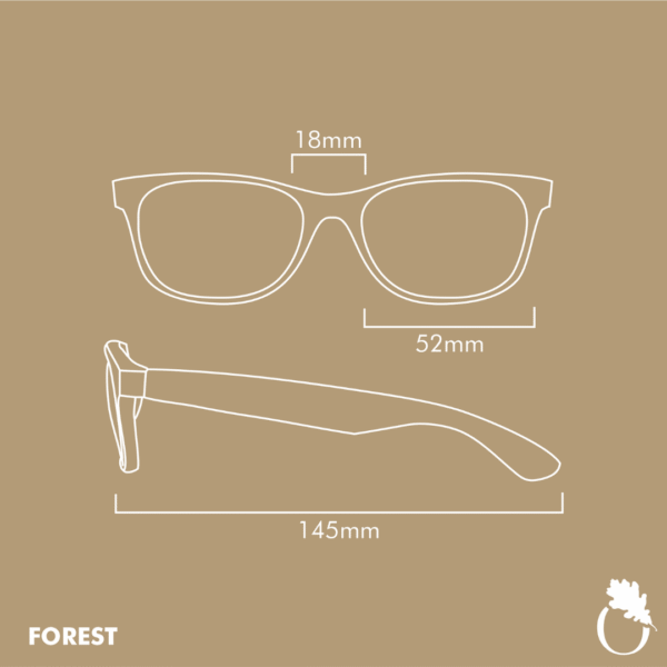 Forest Turtle Brown - Image 9